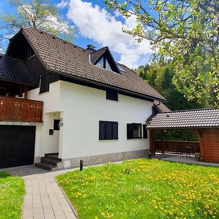 Apartment Alpska Astra 크라니스카고라 외부 사진